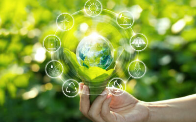 Événementiel durable : comment concevoir des événements engagés et végétaux